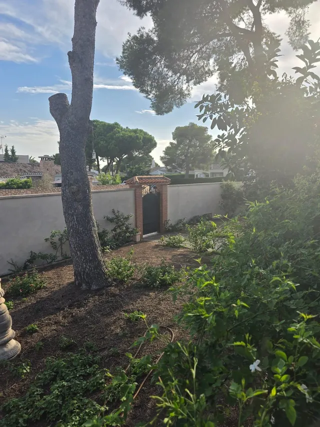 Chalet con parcela en Campoamor — 9