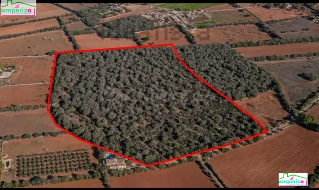 ¡Oportunidad única en Felanitx! Terreno rústico de 61.000 m2 - foto 3