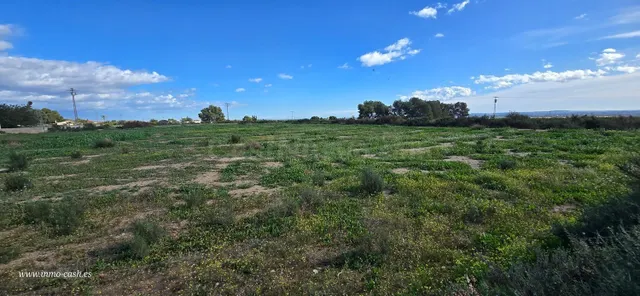 Terreno rural en venta - Comunidad valenciana - foto 2