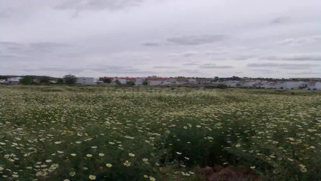 SUELO EN VENTA EN CARRIÓN DE LOS CÉSPEDES.