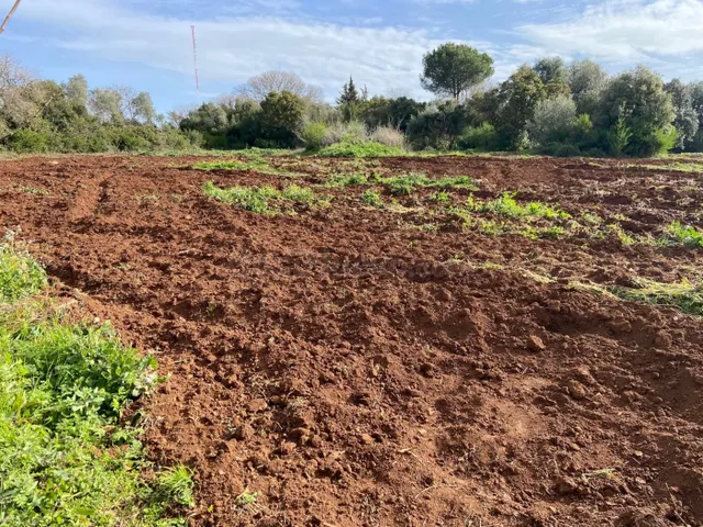 ZONA CTRA. ERMITAS - REGALA TRACTOR - Parcela de terreno de  - foto 3