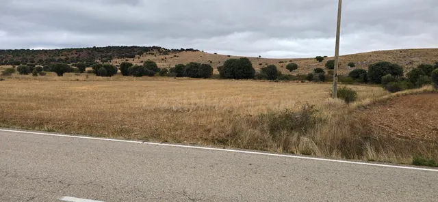 Parcela rústica de secano a pie de carretera entre Garray y  - foto 5