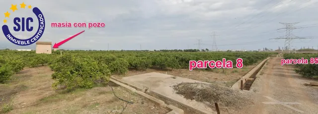 FINCAS RÚSTICA 24 HANEGADAS DE CLEMENTINA EN PRODUCCIÓN CON MASIA Y POZO MUY CERCA DE LA CIUDAD — 17