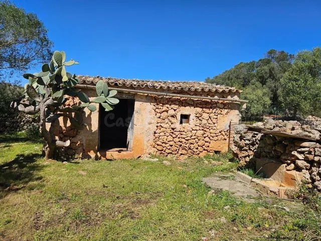 Finca rústica de 14.878 m2 en Costitx con posibilidad de pro - foto 3