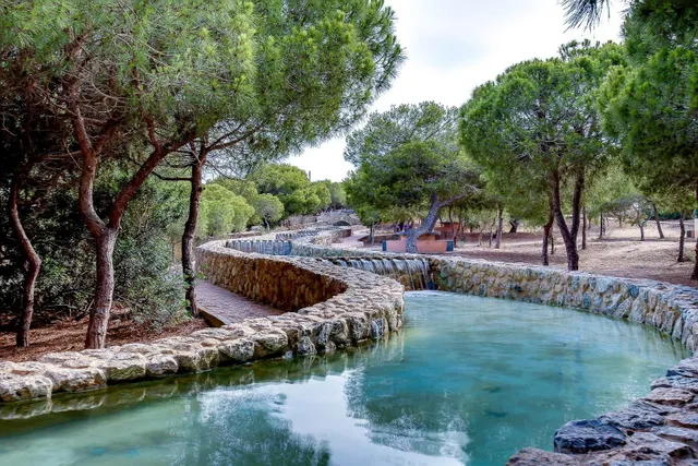 Planta baja de 2 dormitorios en Viñamar II con piscina, a 200 m de la Playa de La Mata — 42