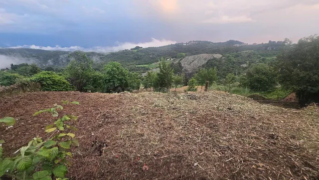 Parcela para construir una o dos casas solas o apareadas - foto 3