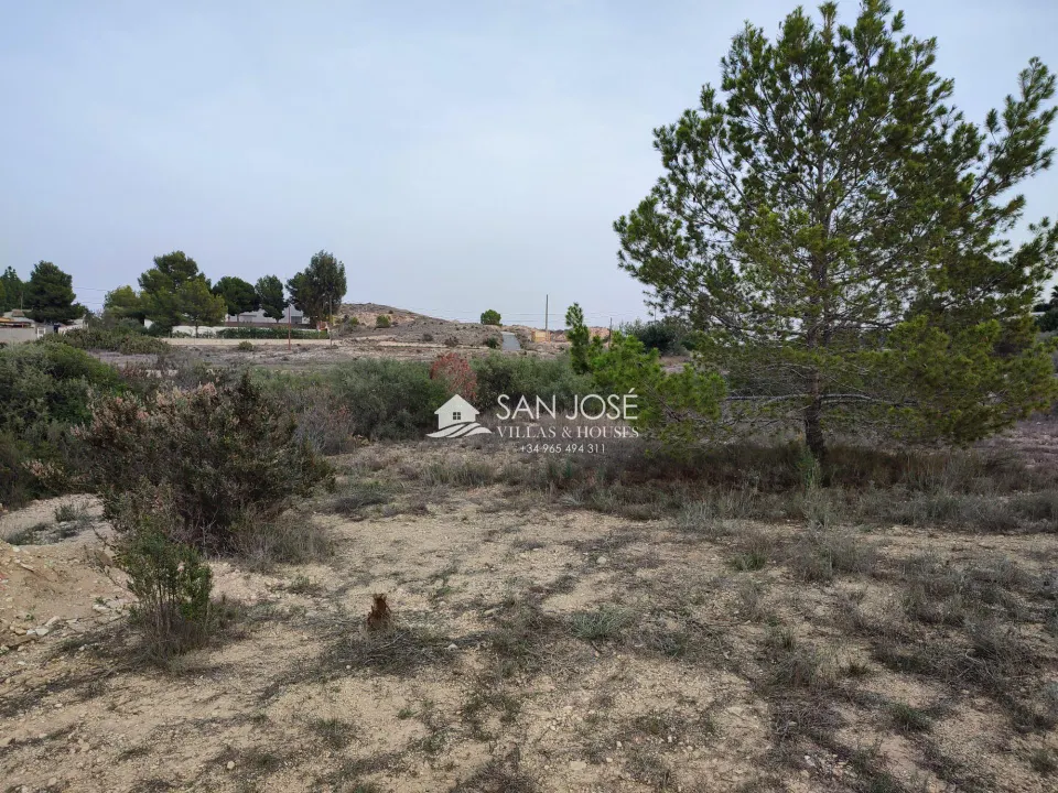 SE VENDE TERRENO EN ASPE. ZONA BIEN COMUNICADA