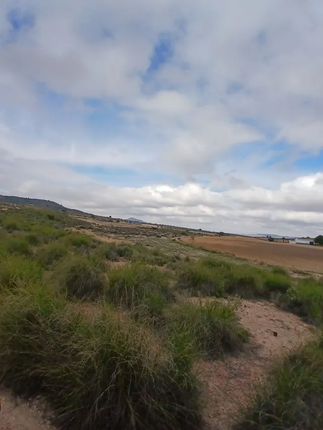 Parcela en venta - Yecla — 11