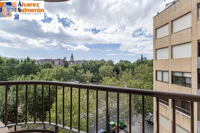 Pisazo en paseo del salón - Granada — 23