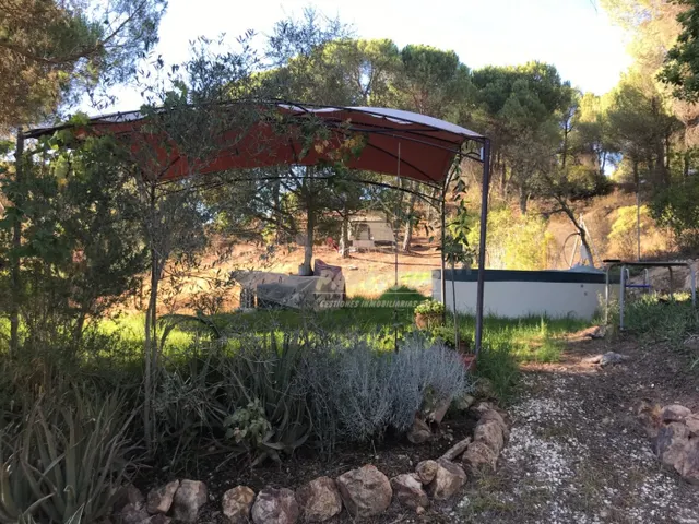 ZONA TORRE HORIA-TRASSIERRA -Parcela de terreno con pozo com