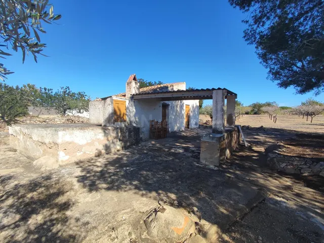 ¡Finca rústica excepcional en la zona de Racollet rodeada de