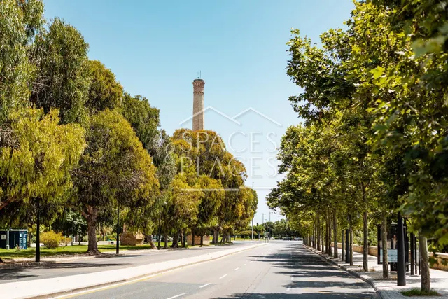 Ático-Dúplex exclusivo en Paseo de la Alameda - foto 2