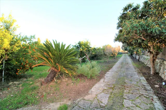 Finca Rústica en Llubí — 32