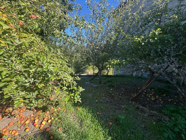 Se vende casa en lubian — 50