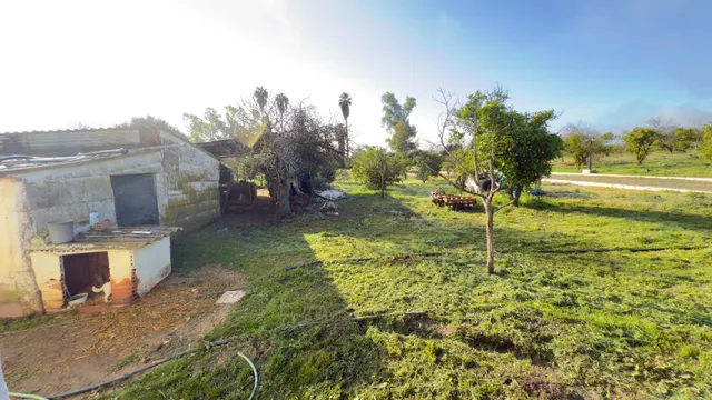 FINCA RUSTICA DE 32.000 M2 EN GIBRALEÓN CON CASA — 13