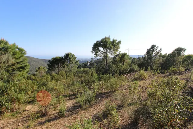 Parcela exclusiva con vistas al Mediterráneo en Benahavís — 15
