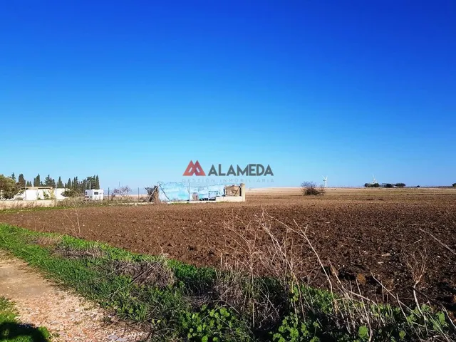 PARCELA SEGREGADA MIRALAMAR — 5