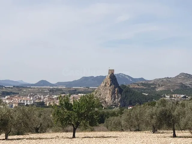 Terreno agrícola con árboles frutales y vistas al castillo e - foto 2