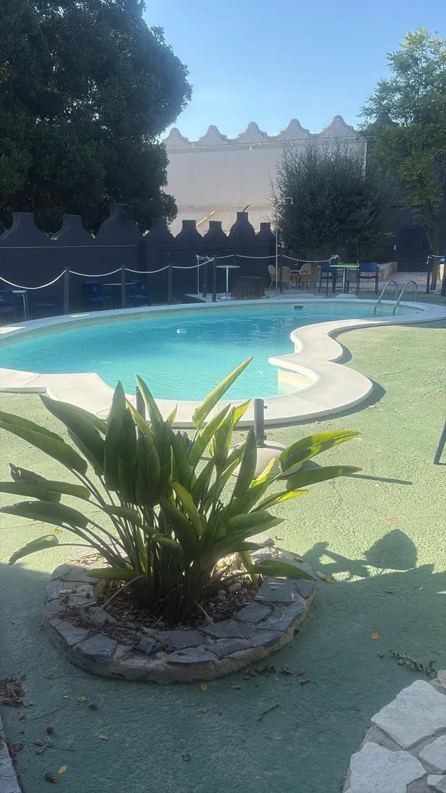 Esta es tu oportunidad de tener la mejor discoteca de la Vega Baja (Cox-Albatera) . Discoteca con Piscina , Jardines  , Cabañas Vip , Sala interior . Con un total de  3000 m2  totalmente montados , c — 10