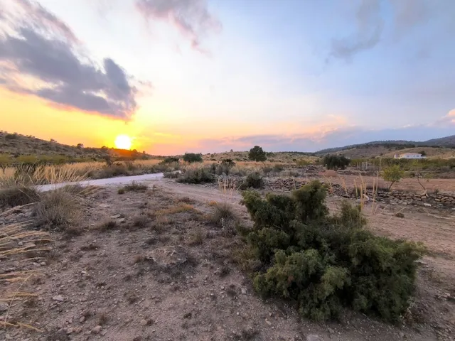 Parcela edificable 12234 m2 en Pinoso - Construir casa en en