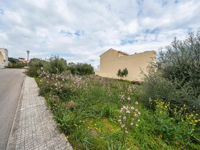 Terreno urbanizable en San Lorenzo - foto 3