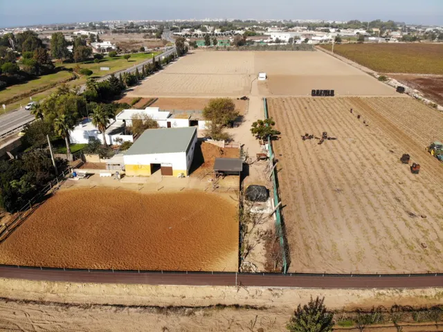 FINCA RÚSTICA CON ARBOLES FRUTALES Y CUADRA DE CABALLOS — 5