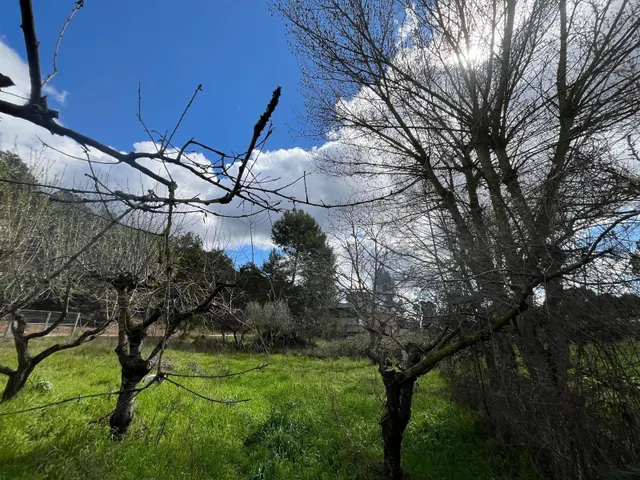 VENTA DE TERRENO EN EL BRUC - URB MONTSERRAT PARK (BARCELONA) — 5