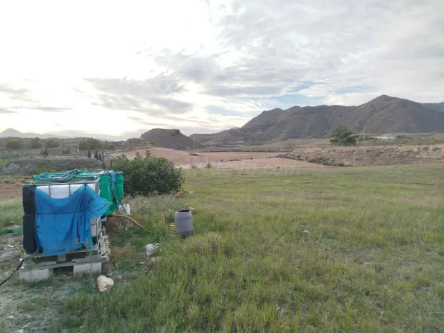 18000 MTS RUSTICO ENTRE MAJADA Y LA ATALAYA - foto 4