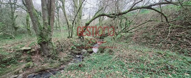 CABAÑA CON ARROYO,  PROYECTO Y CAMBIO DE USO EN LLANOS. PENAGOS — 32
