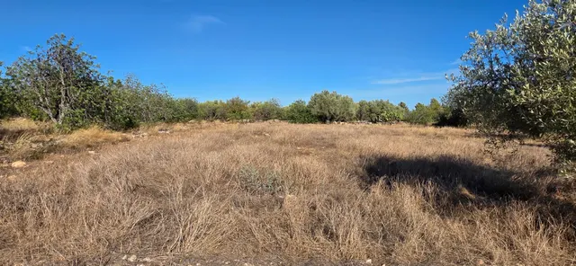 Finca rústica de 14.741 m2 con casa de campo por terminar, en un entorno tranquilo a 5 km del mar — 24