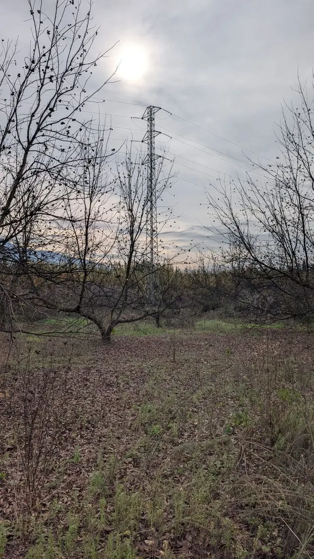 Parcela en venta - Puerto Sol-Los Almendros-El Tomillar — 24
