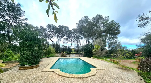 Encantadora finca legal con cédula de habitabilidad, agua ca - foto 3