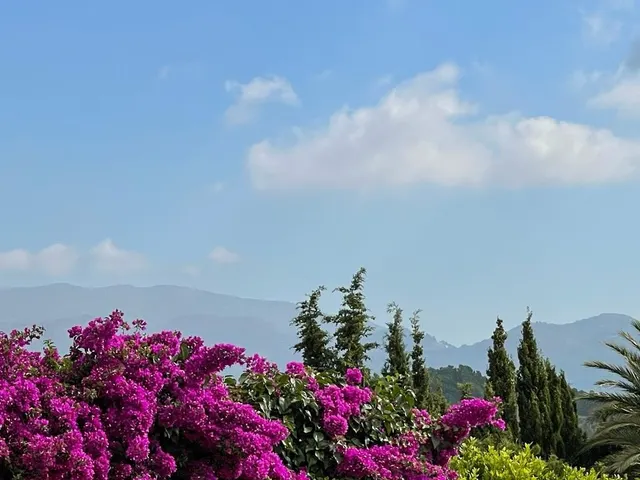 Terreno para hacer 10 chalets con vistas al mar, oportunidad. — 2