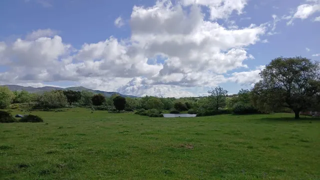 FINCA RUSTICA IDEAL PARA GANADO - foto 5