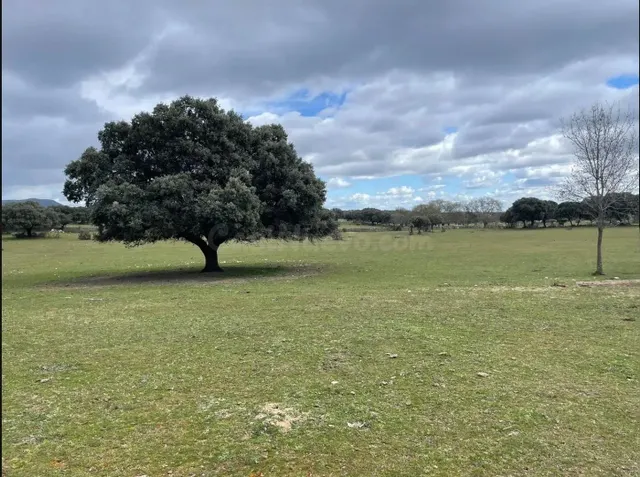 Terreno rural en venta - Romacalderas - foto 5