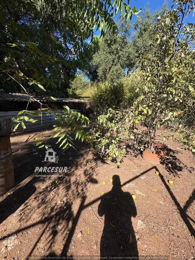 Casa de campo con gran parcela y frutales en Las Siete Fincas. — 23