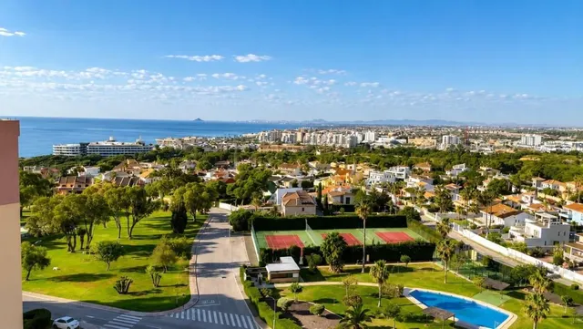 Apartamento 1 habitación 81m² en venta - Campoamor — 22
