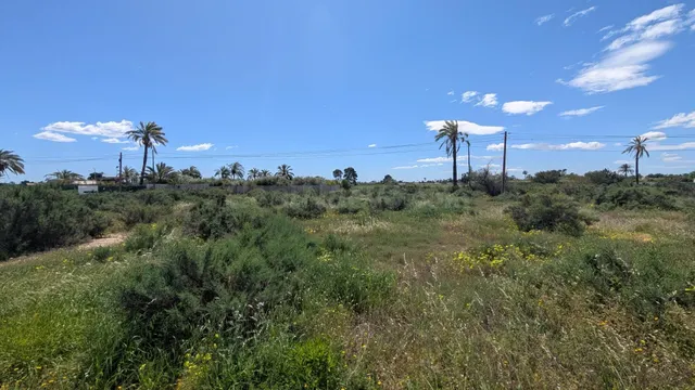 ⭐ PARCELA RÚSTICA EN ALZABARES ALTO FRENTE AL HOSPITAL — UBI - foto 2