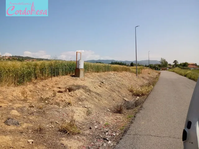 TERRENO EN CUEVAS BAJAS!!! — 3