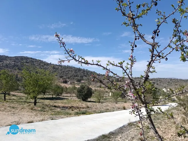 Villa 4 habitaciones 202m² en venta - Abanilla — 30