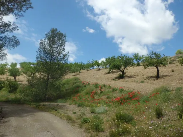 Finca Rústica, LOS GOMEZ, JARALES — 7