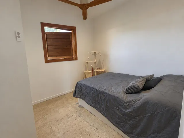 Finca rústica con casita acondicionada y terreno a 500 metros de Manacor — 6
