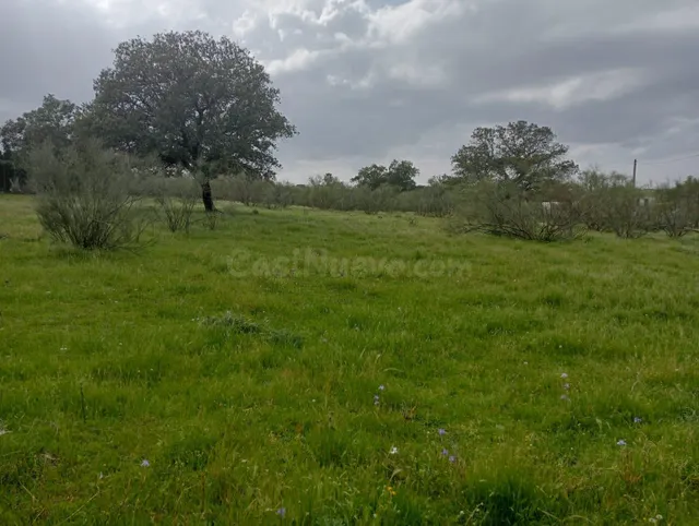 ¡Magnífica parcela urbana en la Urb. Sierra Norte – Castilbl - foto 5