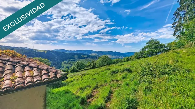 Más de una hectárea de Asturias, una cabaña de piedra y todo el valle por delante. — 2