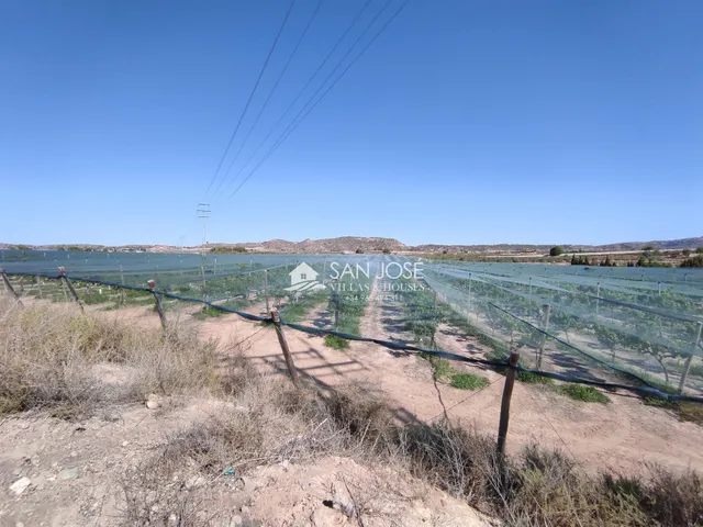 SE VENDE FINCA RÚSTICA EN PRODUCCIÓN UVA ECOLÓGICA CON CASA DE APEROS EN MONFORTE DEL CID. — 8