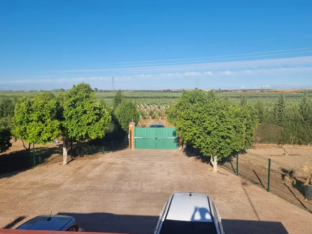Finca rustica el pintado, Gibraleón — 33