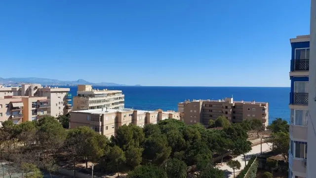 Apartamento 1 habitación 58m² en venta - Arenales del Sol — 15