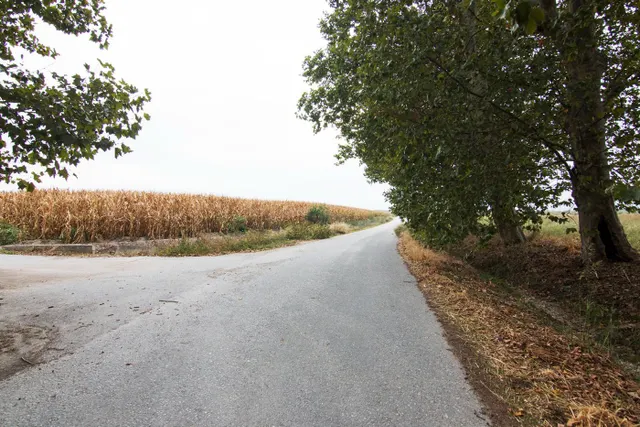 GR2960 - Pinos Puente — 29