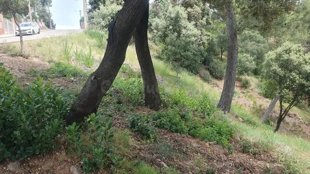 Parcela en venta en La Figuerola – Castellnou de Bages - foto 2