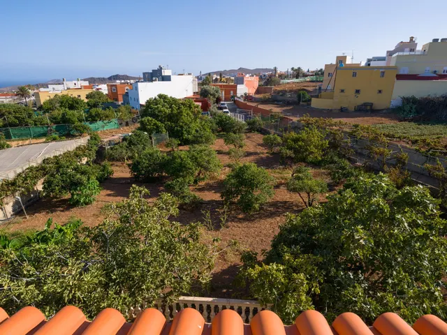 Finca rústica con amplia vivienda y azotea en Las Mejías – Ingenio, Gran Canaria — 18